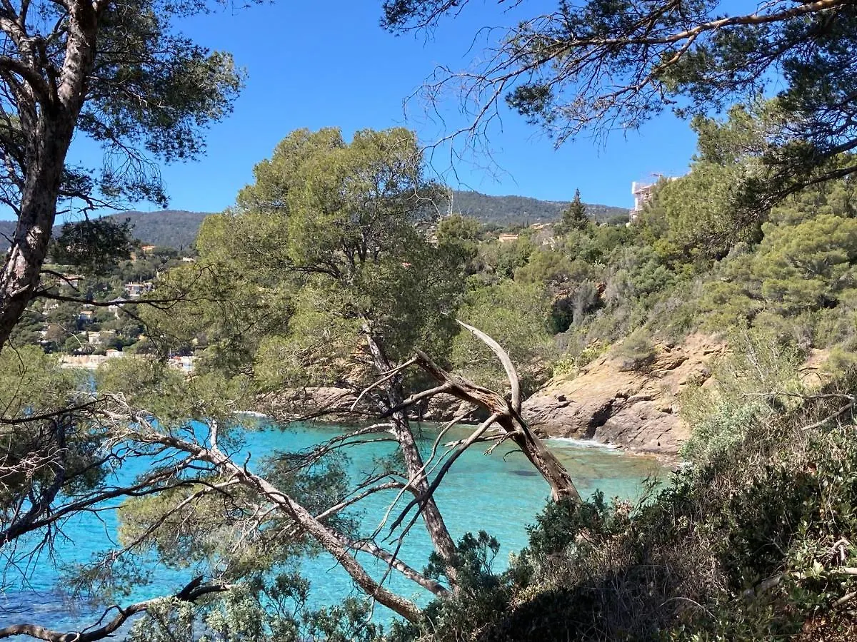 Studio 109 Grande Terrasse Bandol 0*,