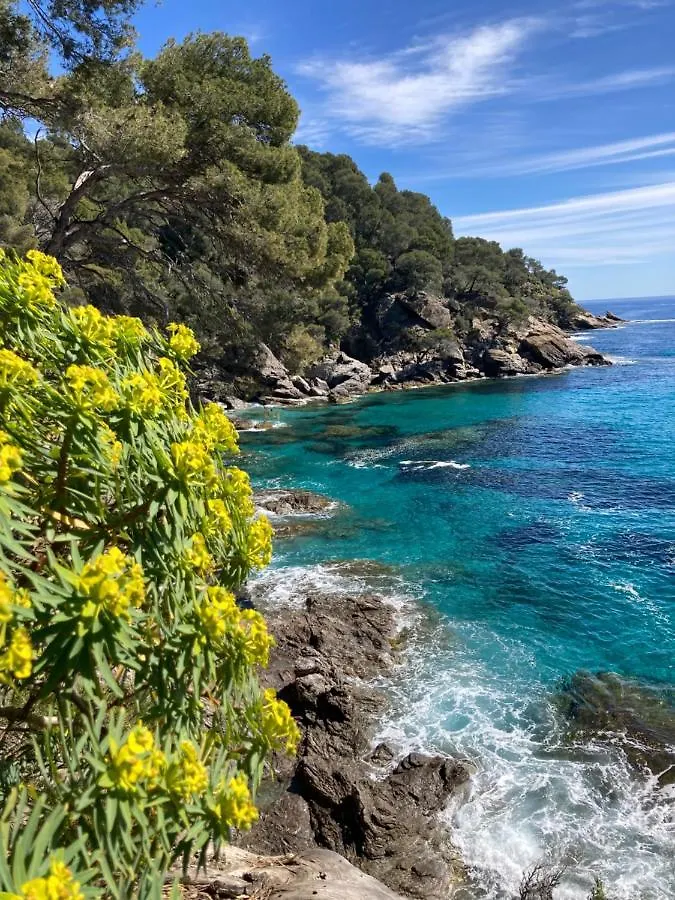 Studio 109 Grande Terrasse Bandol France
